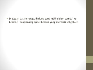 • Dibagian dalam rongga hidung yang lebih dalam sampai ke
bronkus, dilapisi oleg epitel bersilia yang memiliki sel goblet.
 