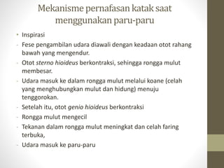 Mekanismepernafasankataksaat
menggunakanparu-paru
• Inspirasi
- Fese pengambilan udara diawali dengan keadaan otot rahang
bawah yang mengendur.
- Otot sterno hioideus berkontraksi, sehingga rongga mulut
membesar.
- Udara masuk ke dalam rongga mulut melalui koane (celah
yang menghubungkan mulut dan hidung) menuju
tenggorokan.
- Setelah itu, otot genio hioideus berkontraksi
- Rongga mulut mengecil
- Tekanan dalam rongga mulut meningkat dan celah faring
terbuka,
- Udara masuk ke paru-paru
 
