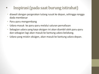 • Inspirasi(padasaat burung istirahat)
• diawali dengan pergerakan tulang rusuk ke depan, sehingga rongga
dada membesar
• Paru-paru mengembang
• Udara masuk ke paru-paru melalui saluran pernafasan
• Sebagian udara yang kaya oksigen ini akan diambil oleh paru-paru
dan sebagian lagi akan masuk ke kantung udara belakang.
• Udara yang miskin oksigen, akan masuk ke kantung udara depan.
 