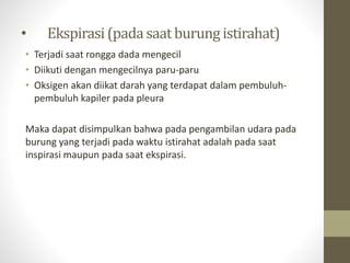• Ekspirasi(padasaat burungistirahat)
• Terjadi saat rongga dada mengecil
• Diikuti dengan mengecilnya paru-paru
• Oksigen akan diikat darah yang terdapat dalam pembuluh-
pembuluh kapiler pada pleura
Maka dapat disimpulkan bahwa pada pengambilan udara pada
burung yang terjadi pada waktu istirahat adalah pada saat
inspirasi maupun pada saat ekspirasi.
 