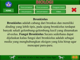 Bronkiolus
Bronkiolus adalah cabang dari bronkus dan memiliki
dinding yang lebih tipis, pada ujung bronkiolus terdapat
banyak sekali gelembung-gelembung kecil yang dinamakan
alveolus. Fungsi Bronkiolus Secara sederhana dapat
dijelaskan kalau fungsi dari bronkiolus adalah sebagai
media yang menghubungkan oksigen yang kita hirup agar
mencapai paru-paru.
Sistem pernapasan
Alat pernapasan
Proses pernapasan
Jenis pernapasan
Gangguan sistem
Video
BIOLOGI, XI MIA 3, SMA Negeri 2 Kota Tegal
HOME
 