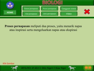 Proses pernapasan meliputi dua proses, yaitu menarik napas
atau inspirasi serta mengeluarkan napas atau ekspirasi
Sistem pernapasan
Alat pernapasan
Proses pernapasan
Jenis pernapasan
Gangguan sistem
Video
BIOLOGI, XI MIA 3, SMA Negeri 2 Kota Tegal
Klik Gambar
HOME
 