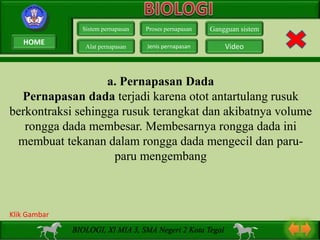 a. Pernapasan Dada
Pernapasan dada terjadi karena otot antartulang rusuk
berkontraksi sehingga rusuk terangkat dan akibatnya volume
rongga dada membesar. Membesarnya rongga dada ini
membuat tekanan dalam rongga dada mengecil dan paru-
paru mengembang
Sistem pernapasan
Alat pernapasan
Proses pernapasan
Jenis pernapasan
Gangguan sistem
Video
BIOLOGI, XI MIA 3, SMA Negeri 2 Kota Tegal
Klik Gambar
HOME
 