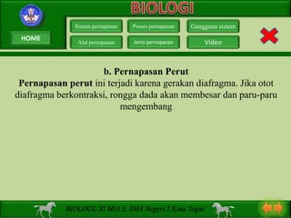 b. Pernapasan Perut
Pernapasan perut ini terjadi karena gerakan diafragma. Jika otot
diafragma berkontraksi, rongga dada akan membesar dan paru-paru
mengembang
Sistem pernapasan
Alat pernapasan
Proses pernapasan
Jenis pernapasan
Gangguan sistem
Video
BIOLOGI, XI MIA 3, SMA Negeri 2 Kota Tegal
HOME
 