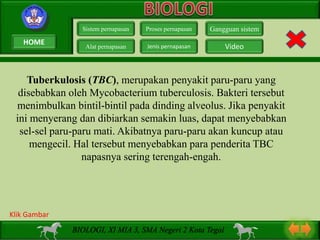 Tuberkulosis (TBC), merupakan penyakit paru-paru yang
disebabkan oleh Mycobacterium tuberculosis. Bakteri tersebut
menimbulkan bintil-bintil pada dinding alveolus. Jika penyakit
ini menyerang dan dibiarkan semakin luas, dapat menyebabkan
sel-sel paru-paru mati. Akibatnya paru-paru akan kuncup atau
mengecil. Hal tersebut menyebabkan para penderita TBC
napasnya sering terengah-engah.
Sistem pernapasan
Alat pernapasan
Proses pernapasan
Jenis pernapasan
Gangguan sistem
Video
BIOLOGI, XI MIA 3, SMA Negeri 2 Kota Tegal
Klik Gambar
HOME
 