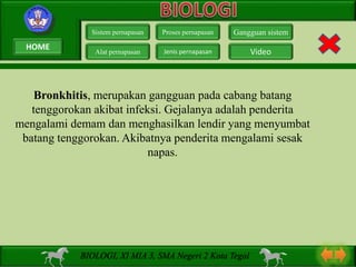Bronkhitis, merupakan gangguan pada cabang batang
tenggorokan akibat infeksi. Gejalanya adalah penderita
mengalami demam dan menghasilkan lendir yang menyumbat
batang tenggorokan. Akibatnya penderita mengalami sesak
napas.
Sistem pernapasan
Alat pernapasan
Proses pernapasan
Jenis pernapasan
Gangguan sistem
Video
BIOLOGI, XI MIA 3, SMA Negeri 2 Kota Tegal
HOME
 