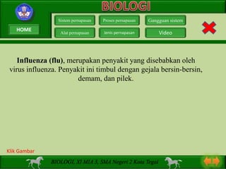 Influenza (flu), merupakan penyakit yang disebabkan oleh
virus influenza. Penyakit ini timbul dengan gejala bersin-bersin,
demam, dan pilek.
Sistem pernapasan
Alat pernapasan
Proses pernapasan
Jenis pernapasan
Gangguan sistem
Video
BIOLOGI, XI MIA 3, SMA Negeri 2 Kota Tegal
Klik Gambar
HOME
 