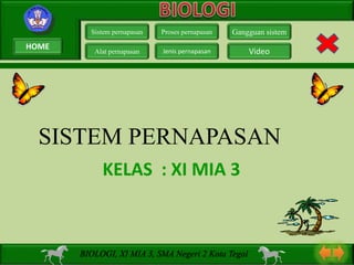 BIOLOGI, XI MIA 3, SMA Negeri 2 Kota Tegal
KELAS : XI MIA 3
SISTEM PERNAPASAN
Sistem pernapasan
Alat pernapasan
Proses pernapasan
Jenis pernapasan
Gangguan sistem
Video
HOME
 