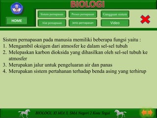 Sistem pernapasan pada manusia memiliki beberapa fungsi yaitu :
1. Mengambil oksigen dari atmosfer ke dalam sel-sel tubuh
2. Melepaskan karbon dioksida yang dihasilkan oleh sel-sel tubuh ke
atmosfer
3. Merupakan jalur untuk pengeluaran air dan panas
4. Merupakan sistem pertahanan terhadap benda asing yang terhirup
Sistem pernapasan
Alat pernapasan
Proses pernapasan
Jenis pernapasan
Gangguan sistem
Video
BIOLOGI, XI MIA 3, SMA Negeri 2 Kota Tegal
HOME
 