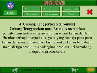 4. Cabang Tenggorokan (Bronkus)
Cabang Tenggorokan atau Bronkus merupakan
percabangan trakea yang menuju paru-paru kanan dan kiri.
Bronkus terbagi menjadi dua, yaitu yang menuju paru-paru
kanan dan menuju paru-paru kiri. Bronkus kanan bercabang
menjadi tiga bronkiolus sedangkan bronkus kiri bercabang
menjadi dua bronkiolus
Sistem pernapasan
Alat pernapasan
Proses pernapasan
Jenis pernapasan
Gangguan sistem
Video
BIOLOGI, XI MIA 3, SMA Negeri 2 Kota Tegal
HOME
 