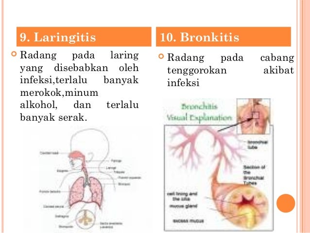 Sistem Pernapasan Sistem Pernapasan