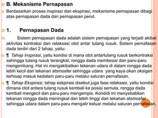  B. Mekanisme Pernapasan
 Berdasarkan proses inspirasi dan ekspirasi, mekanisme pernapasan dibagi
atas pernapasan dada dan pernapasan perut.
 1. Pernapasan Dada
 Sistem pernapasan dada adalah sistem pernapasan yang terjadi akibat
aktivitas kontraksi dan relaksasi otot antar tulang rusuk. Sistem pernafasan
dada terdiri dari 2 tahap, yaitu:
 ¶ Tahap Inspirasi, yaitu kondisi di mana otot antartulang rusuk berkontraksi
sehingga tulang rusuk terangkat, rongga dada membesar dan paru-paru
mengembang. Hal ini mengakibatkan tekanan udara di dalam rongga dada
lebih kecil dari tekanan atsmosfer sehingga udara yang kaya okan oksigen
terhisap masuk kedalam paru-paru melalui saluran pernafasan.
 ¶ Tahap Ekspirasi, tahap eskpirasi disebut juga fase relaksasi, yaitu kondisi
dimana otot antara tulang rusuk kembali ke posisi semula, rongga dada
kembali mengecil dan paru-paru mengempis. Kondidi ini menyebabkan
tekanan rongga dada meningkat dan lebih tinggi dari tekanan atsmosfer
sehingga udara dalam paru-paru mengalir keluar melalui saluran pernafasan.
 