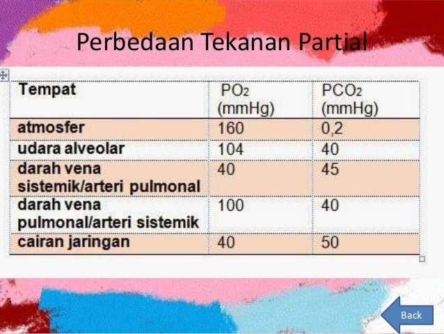 Sistem Pernapasan Manusia