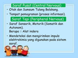 Saraf Pusat (Central Nervous)
• Otak dan Sumsum Tulang Belakang.
• Tempat pemograman (proses informasi).
Saraf Tepi (Peripheral Nervous)
• Saraf Sensorik, Motorik (Somatik dan
Autonom).
Berupa :: Alat indera
• Mendeteksi dan mengirimkan impuls
elektrokimia yang digunakan pada sistem
saraf.
 