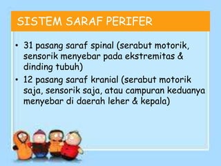 SISTEM SARAF PERIFER
• 31 pasang saraf spinal (serabut motorik,
sensorik menyebar pada ekstremitas &
dinding tubuh)
• 12 pasang saraf kranial (serabut motorik
saja, sensorik saja, atau campuran keduanya
menyebar di daerah leher & kepala)
 