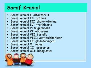 Saraf Kranial
• Saraf kranial I: olfaktorius
• Saraf kranial II: optikus
• Saraf kranial III: okulomotorius
• Saraf kranial IV : trokhlearis
• Saraf kranial V: trigeminalis
• Saraf kranial VI: abdusens
• Saraf kranial VII: fasialis
• Saraf kranial VIII: vestibulokohlear
• Saraf kranial IX: glosofaringeal
• Saraf kranial X : vagus
• Saraf kranial XI : asesorius
• Saraf kranial XII: hipoglosus
 