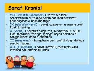 Saraf Kranial
• VIII (vestibulokohlear) = saraf sensorik
terdistribusi di telinga dalam dan mempersarafi
pendengaran & keseimbangan
• IX (glosofaringeal) = saraf campuran, mempersarafi
lidah & farings
• X (vagus) = serabut campuran, terdistribusi paling
luas, mensuplai farings, larings, organ dalaman di
rongga leher, dada & abdomen
• XI (asesorius) = bergabung dan terdistribusi dengan
serabut vagus
• XII (hipoglosus) = saraf motorik, mensuplai otot
intrinsil dan ekstrinsik lidah
 