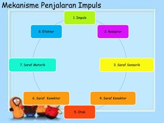 Mekanisme Penjalaran Impuls
1. Impuls
2. Reseptor
3. Saraf Sensorik
4. Saraf Konektor
5. Otak
6. Saraf Konektor
7. Saraf Motorik
8. Efektor
 