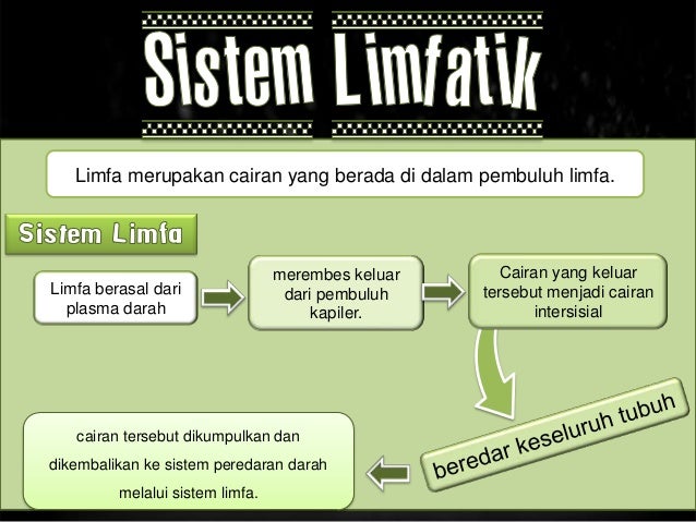 Sistem Pertahanan Tubuh 26905933