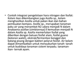 • Contoh integrasi pengelolaan hara nitrogen dan fosfat:
Kolam ikan dikembangkan juga Azolla sp., kolam
menghasilkan Azolla untuk pakan ikan dan bahan
pembuatan kompos. Azolla sp., merupakan tanaman
paku air yang menambat N2 udara menjadi N dalam
Anabaena azollae (simbionnya) kemudian menjadi N
dalam Azolla sp. Azolla memerlukan fosfat yang
diberikan dengan batuan fosfat alam, fosfat guano
(kotoran walet), ekstrak/fermentasi bonggol dan
batang pisang dengan bakteri pelarut fosfat. Air kolam
dapat dimanfaatkan untuk menyuburkan tanah- tanah
untuk budidaya tanaman sistem terpadu. tanaman-
ikan- ternak ayam.
 