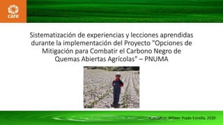 Sistematización de experiencias y lecciones aprendidas
durante la implementación del Proyecto "Opciones de
Mitigación para Combatir el Carbono Negro de
Quemas Abiertas Agrícolas" – PNUMA
Consultor: Wilmer Prado Estrella, 2020
 