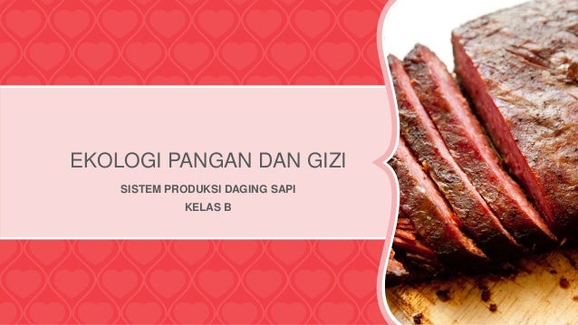 Sistem produksi daging sapi Sistem produksi daging sapi