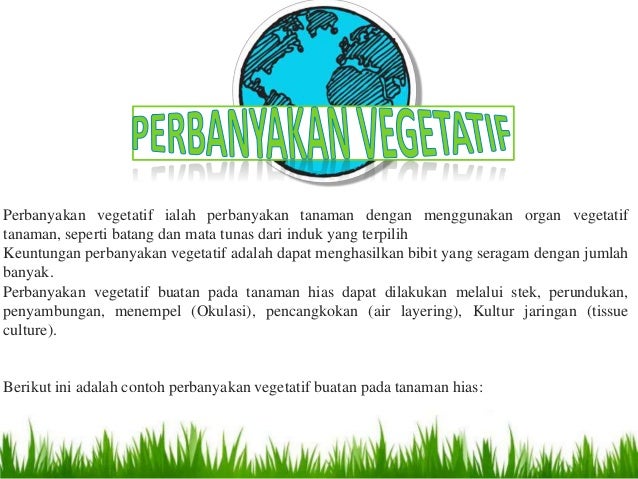 Sistem Produksi Tanaman Hias Sistem Produksi Tanaman Hias