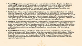 • Penyakit Paget: Ini mempengaruhi sebagian besar pria dan wanita tua. Tingkat metabolisme
tulang diubah dengan orang yang menderita penyakit paget itu. Tulang dalam tubuh manusia
biasanya memecah dan membangun kembali diri mereka sendiri sepanjang hidup. Proses
pemecahan tulang selama kondisi ini menjadi lebih cepat daripada tingkat pembaharuan.
Akibatnya tulang menjadi rapuh, lemah dan rapuh dan infeksi.
• Disk Herniasi: Tulang yang membentuk tulang belakang kita sedang berbantalkan disk lembut,
yang diisi dengan zat seperti jelly. Disk ini memainkan peran penting untuk mendukung tulang
belakang dan menjaga mereka di tempat. Namun disk hernia kehilangan elastisitasnya dan pecah.
Ketika pecah piringan tulang belakang itu akan mendorong keluar posisi normal menyebabkan
saraf di sekitar area untuk tertekan. Hal ini pada gilirannya menyebabkan mati rasa, rasa sakit dan
nyeri di daerah dapat mempengaruhi fungsi saraf dan sumsum tulang belakang.
• Tendinitis: Tendon adalah pita jaringan ikat tangguh antara otot dan tulang, yang membantu otot
untuk memindahkan tulang. Tendinitis adalah peradangan pada tendon yang disebabkan oleh
terlalu sering menggunakan otot atau karena cedera. Hal ini biasanya mempengaruhi sendi lutut,
pinggul, siku, bahu, tumit dan pergelangan tangan. Hal ini menyebabkan nyeri dan nyeri di dekat
sendi ini. Ketika tendinitis mempengaruhi siku itu diberi nama khusus – siku Tenis (lateral
epicondylitis).
• Penyakit Wilson: Tembaga dalam tubuh manusia memainkan peran penting untuk menjaga
tulang, saraf, kolagen, dll, dalam keadaan sehat dan tembaga ini diserap dari makanan yang kita
konsumsi. Bila ada kelebihan penumpukan tembaga, hati mengeluarkannya keluar dari tubuh
dengan bantuan empedu (zat yang diproduksi di hati). Penyakit Wilson terjadi ketika jumlah
kelebihan tembaga tidak dieliminasi dari tubuh dan mulai terakumulasi dalam hati, otak dan
organ vital tubuh lainnya.

 