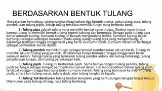 BERDASARKAN BENTUK TULANG
Berdasarkan bentuknya, tulang rangka dibagi dalam tiga bentuk utama, yaitu tulang pipa, tulang
pendek, dan tulang pipih. Setiap tulang tersebut memiliki fungsi yang berbeda-beda.
1) Tulang pipa adalah tulang yang memiliki bentuk seperti pipa. Disebut seperti pipa
karena tulang ini memiliki bentuk utama seperti tabung dan berongga. Rongga pada tulang pipa
berisi sumsum kuning. Sumsum kuning ini banyak mengandung lemak. Sumsum kuning dapat
berfungsi sebagai cadangan makanan. Pada ujung-ujung tulang pipa yang mengembung, di
dalamnya terdapat rongga-rongga kecil yang berisi sumsum merah. Sumsum merah ini berfungsi
sebagai pembentuk sel-sel darah.
2) Tulang pendek memiliki fungsi sebagai tempat pembentukan sel-sel darah. Tulang ini
memiliki ukuran tulang yang pendek. Di dalamnya hanya terdapat rongga-rongga kecil berisi
sumsum merah. Tulang-tulang yang termasuk tulang pendek antara lain tulang belakang, tulang
pergelangan tangan, dan tulang pergelangan kaki.
3) Tulang pipih. Tulang ini berbentuk pipih. Sama halnya dengan tulang pendek, tulang
pipih berfungsi sebagai tempat pembentukan sel-sel darah. Hal ini disebabkan dalam tulang pipih
terdapat rongga- rongga kecil yang berisi sumsum merah. Tulang yang termasuk ke dalam tulang
pipih, antara lain tulang rusuk, tulang dada, dan tulang tengkorak kepala.
4) Tulang Tak Beraturan Tulang bentuk kompleks yang berhubungan dengan fungsi khusus.
Ditemukan pada tulang rahang, ruas tulang belakang

 