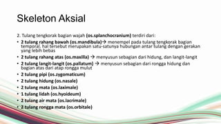 Skeleton Aksial
2. Tulang tengkorak bagian wajah (os.splanchocranium) terdiri dari:
• 2 tulang rahang bawah (os.mandibula) menempel pada tulang tengkorak bagian
temporal. hal tersebut merupakan satu-satunya hubungan antar tulang dengan gerakan
yang lebih bebas
• 2 tulang rahang atas (os.maxilla)  menyusun sebagian dari hidung, dan langit-langit
• 2 tulang langit-langit (os.pallatum)  menyusun sebagian dari rongga hidung dan
bagian atas dari atap rongga mulut
• 2 tulang pipi (os.zygomaticum)
• 2 tulang hidung (os.nasale)
• 2 tulang mata (os.laximale)
• 1 tulang lidah (os.hyoideum)
• 2 tulang air mata (os.lacrimale)
• 2 tulang rongga mata (os.orbitale)

 