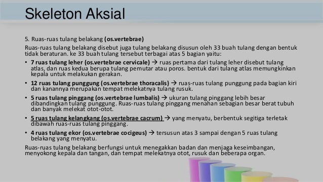Tulang belikat termasuk tulang yang berbentuk
