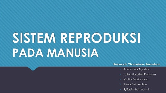 Biologi Kelas 9 Sistem Reproduksi Pada Manusia
