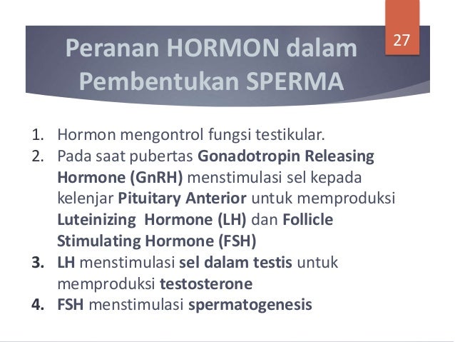 Anatomi Dan Fisiologi Sistem Reproduksi