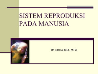 SISTEM REPRODUKSI
PADA MANUSIA
Dr. Irdalisa, S.SI., M.Pd.
 