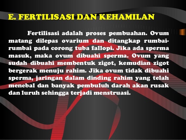 Sel Telur Yang Dibuahi Oleh Sperma Disebut | Seputar Buah