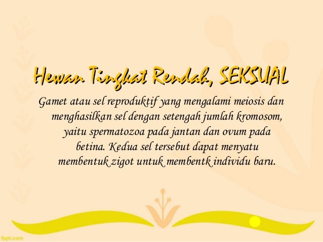 Sistem reproduksi SMA Sistem reproduksi SMA