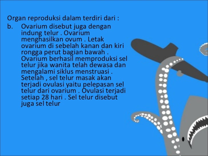 Sistem reproduksi 3