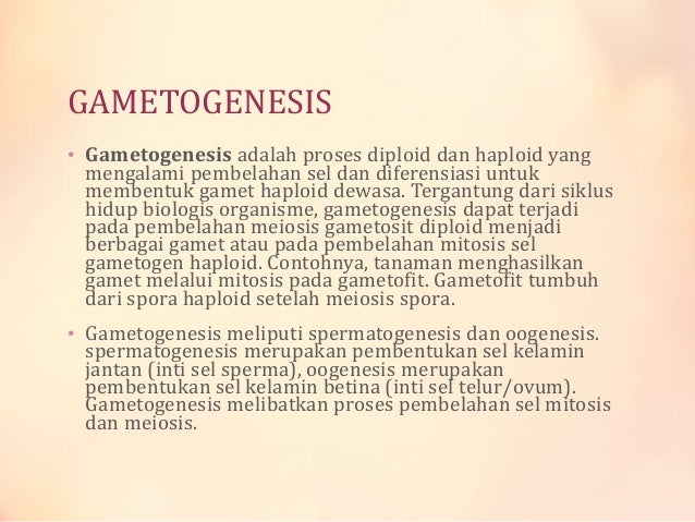 Sistem Reproduksi 40837888