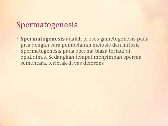 Sistem Reproduksi 40837888