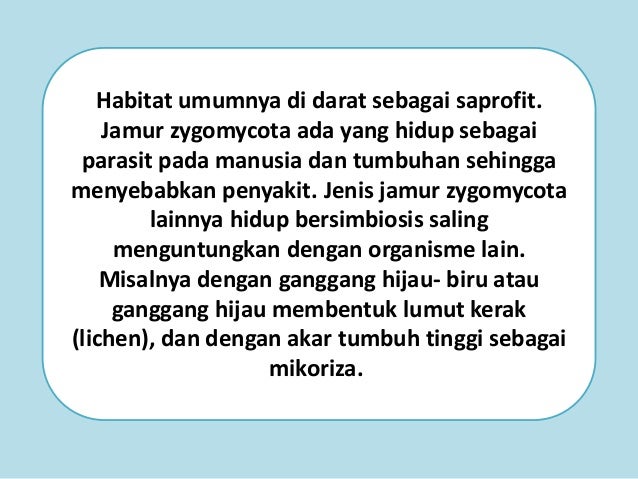 Materi Tentang Sistem Reproduksi fungi/ Jamur