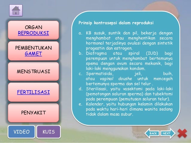 ppt Sistem reproduksi manusia