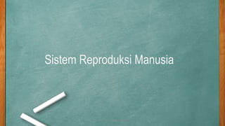 Sistem Reproduksi Manusia
Sistem Reproduksi Manusia
 