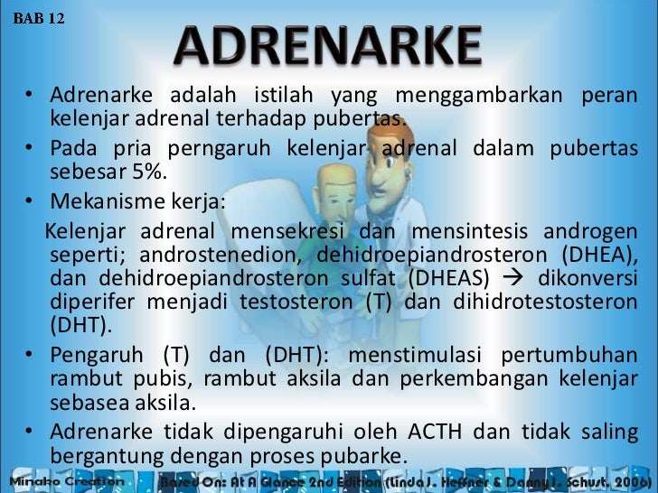 Adrenarke