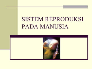 SISTEM REPRODUKSI
PADA MANUSIA
 