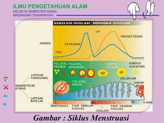 ILMU PENGETAHUAN ALAM
KELAS IX SEMESTER GASAL
MADRASAH TSANAWIYAH




          Gambar : Siklus Menstruasi
 