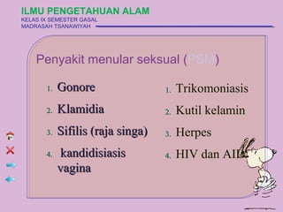 ILMU PENGETAHUAN ALAM
KELAS IX SEMESTER GASAL
MADRASAH TSANAWIYAH




    Penyakit menular seksual (PSM)

       1.   Gonore                 1.   Trikomoniasis
       2.   Klamidia               2.   Kutil kelamin
       3.   Sifilis (raja singa)   3.   Herpes
       4.    kandidisiasis         4.   HIV dan AIDS
            vagina
 