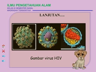 ILMU PENGETAHUAN ALAM
KELAS IX SEMESTER GASAL
MADRASAH TSANAWIYAH

                          LANJUTAN….




                    Gambar virus HIV
 