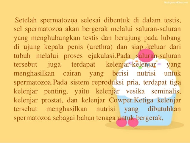 Sistem Reproduksi Pria ppt