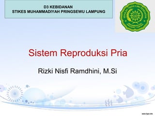 Sistem Reproduksi Pria
Rizki Nisfi Ramdhini, M.Si
D3 KEBIDANAN
STIKES MUHAMMADIYAH PRINGSEWU LAMPUNG
 