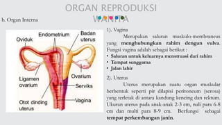 Sistem reproduksi pria dan wanita | PPTX